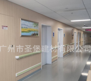 冰火板 无机预涂板 防火板 洁净板 索洁板 护墙板定制 内墙装饰板图3