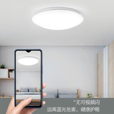吸顶灯led12W18W阳台过道亚克力吸顶灯24W36W圆形灯厂家工程款图4