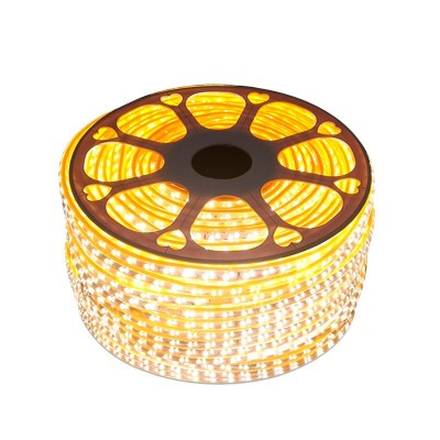 批发220v高压led灯带2835斜排灯带贴片柔性软灯条防水室内室外图4
