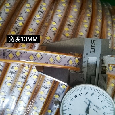批发220v高压led灯带2835斜排灯带贴片柔性软灯条防水室内室外图3