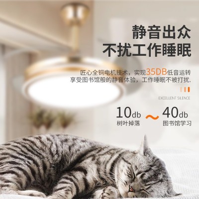 智能风扇灯led隐形电扇灯客厅吊扇灯ceiling fan餐厅卧室 风扇吊灯图2