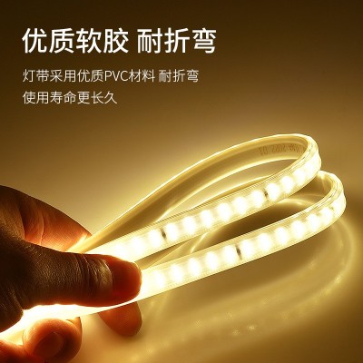 led灯带厂家2835双排220V高压吊顶家装户外工程高亮防水灯带批发图2