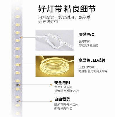 led灯带厂家2835双排220V高压吊顶家装户外工程高亮防水灯带批发图3