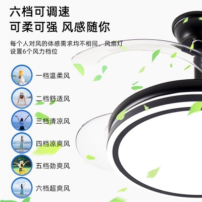 全铜电机隐形静音风扇灯吊扇灯新款蓝牙客厅卧室餐厅风扇吊灯图4