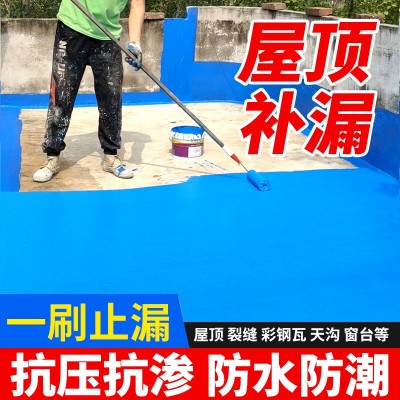 水性屋顶防潮聚氨酯防水涂料彩钢瓦卫生间平房补漏聚氨酯防水材料图2