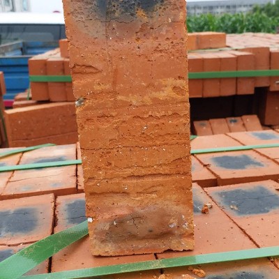 厂家直供煤灰粉多孔砖 红色烧结砖施工砌块批发建筑材料砖 空心砖图2