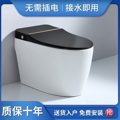 潮汕轻智能马桶脉冲式家用小户型卫生间超漩虹吸式抽水陶瓷一体式图2