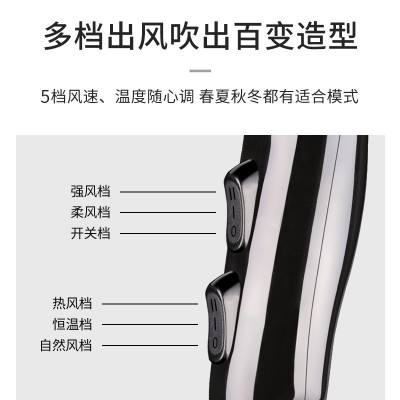 永日吹风机厂家批发家用大功率电吹风冷热风恒温吹风筒多档调节图2