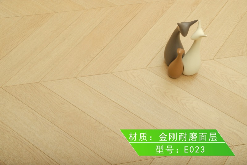 E023.jpg