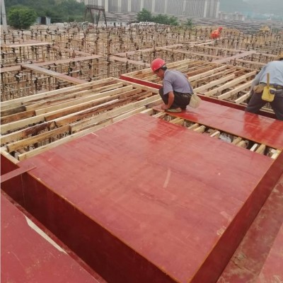红模板木工板建筑18mm注浇木板厂家批发尺寸符行业标准质量有签约图4