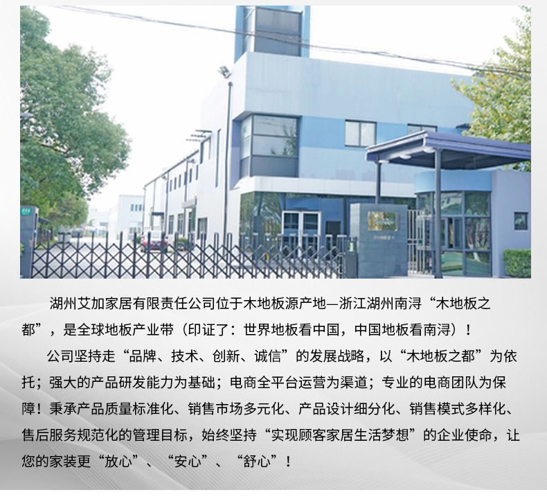 艾加详  情_03.jpg