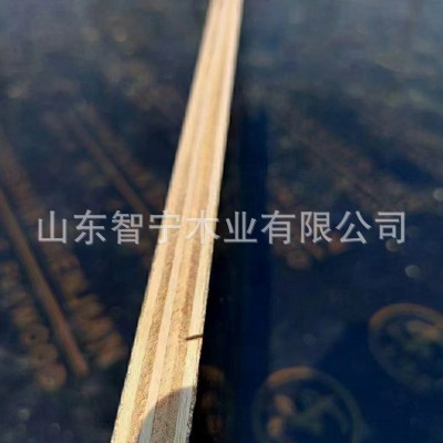 清水模板木工价格 高档建筑模板耐用黑色覆膜工程用 防水防潮图3
