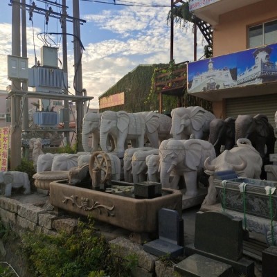 闽南石业雕刻花岗岩青石石雕大象 公司摆放石象雕塑源头厂家图4
