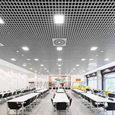格栅吊顶天花网格铝铁格栅集成吊顶装饰材料自装网格棚葡萄架方格图3