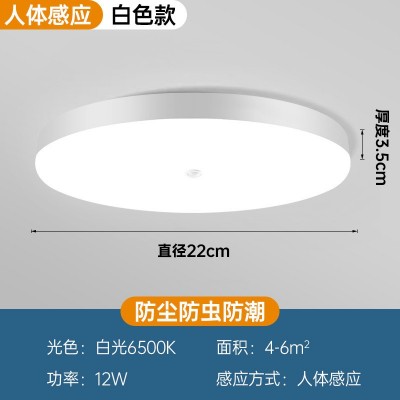 雷达人体感应吸顶灯led感应声控楼道楼梯过道家用入户走廊自动图3
