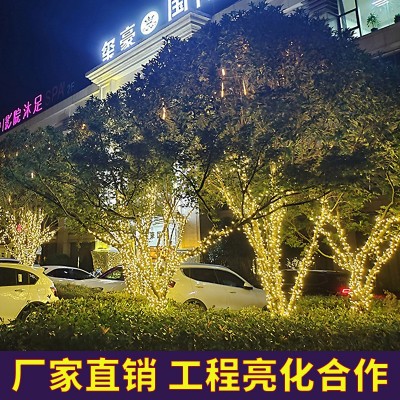 led灯串庭院满天星装饰灯太阳能户外氛围灯防水串灯星星灯小彩灯图3