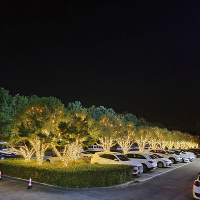 led低压太阳能户外防水满天星灯串灯彩灯闪灯跨境热卖圣诞装饰灯图2