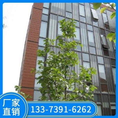 商场玻璃幕墙施工 抗风性强 设计施工一体 粤恩诺铝业图6