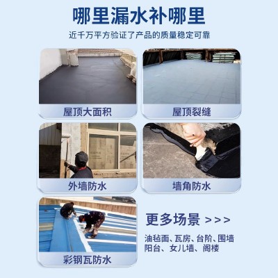 简泰屋顶防水涂料液体卷材楼顶窗台堵漏王平房裂缝漏水聚 氨酯材料图2