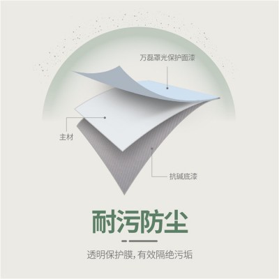万磊真石漆艺术漆罩光保护面漆 内外墙哑光亮光耐刮抗污家用面漆图3