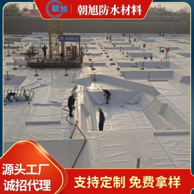 tpo防水卷材 热塑性聚烯烃高分子预铺自粘耐根穿刺内增强防水卷材图4