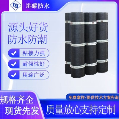 耐根穿刺防水卷材车库顶板楼顶屋顶种植屋面用sbs防水卷材图2