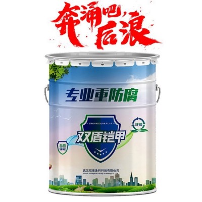 氟碳漆 延安黄龙钢结构氟碳漆 双盾铠甲免费调色图3