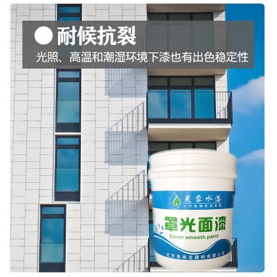 厂家罩面漆真石漆水包砂仿石漆配套罩面剂透明防水水性亮光清漆图3