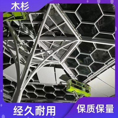 手动遮光顶 电动天棚帘 专业承接 可自动升降 木杉图4