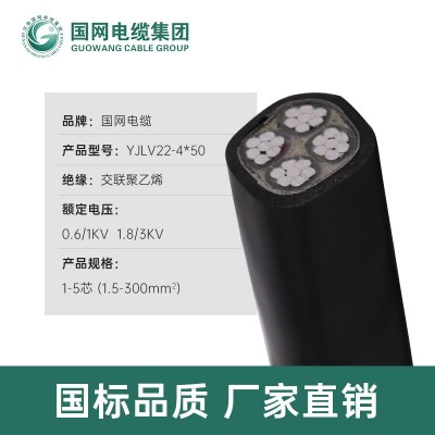 国标yjlv22-4*50铝芯铠装电缆 yjlv22-4*50铝芯低压电力电缆国标图2