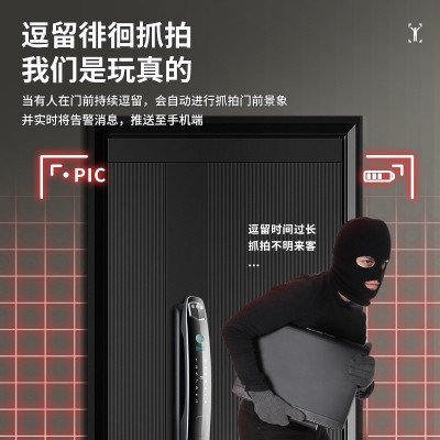 3D人脸识别监控指纹锁全自动密码锁家用电子智能锁抓拍对讲掌静脉图5
