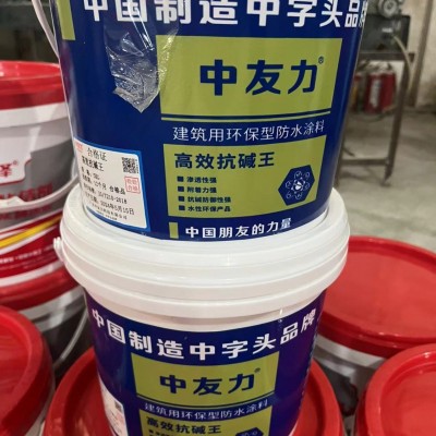 墙面反碱处理 除碱剂抗碱王消碱一号水泥去碱克星抗碱王图2