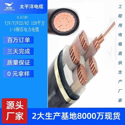 中缆太平洋电缆 现货低压yjv1/2/3/4/5芯4/6/10/16平方铜芯电缆