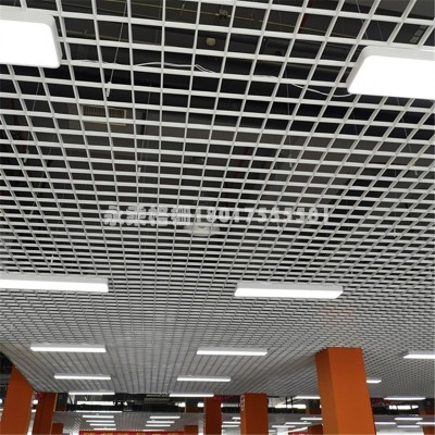 上海厂家吊顶铝格栅铁格栅网格葡萄架办公室天花吊顶材料图3