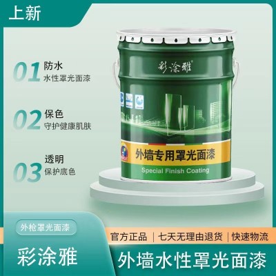 彩涂雅光油墙绘颜料外墙漆真石漆防水涂料罩光面油防水防尘艺术漆图2