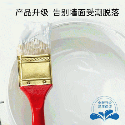 源头厂家 防水补墙膏 墙面修补白色防水腻子膏 跨境出口图3
