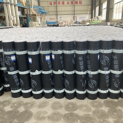 SBS防水卷材 弹性体改性沥青防水卷材 屋面防水车库顶板火烤卷材图4