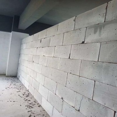 自贡600*300*200加气砖，腾月铭规格品种多厂家直供图2