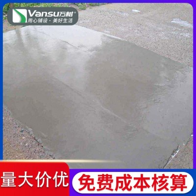 路面修补料 水泥道路起皮裂缝修复 漏骨漏石子抢修 抗压耐磨 万树图2