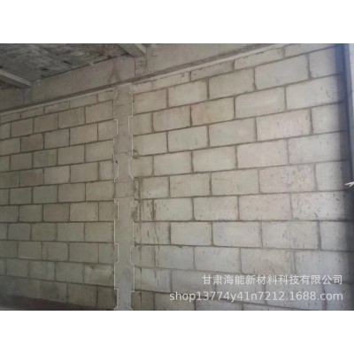 断热节能自保温复合砌块600*300*200(聚苯芯材）