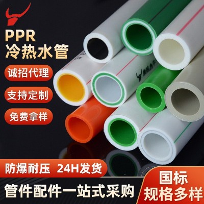 ppr水管工程家装冷热管材4分20热熔管PPR自来水管6分25 给水管批发图2