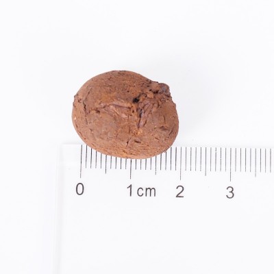 建筑填充陶粒 卫生间回填粒陶粒轻质混凝土陶粒垫底回填卫生间图2