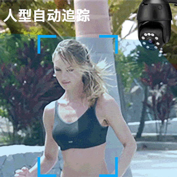 7.gif