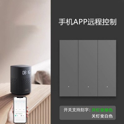超薄智能开关支持小爱同学控制定时蓝牙双多控已接入米家 APP远程图2