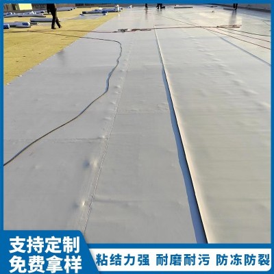 定制聚氯乙烯高分子pvc防水卷材 耐穿刺补水防漏卷材工程用可拿样图4
