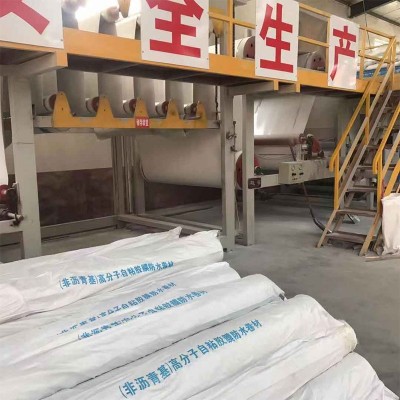 HDPE高分子自粘胶膜防水卷材非沥青基预铺式反粘屋顶补漏防水材料图3