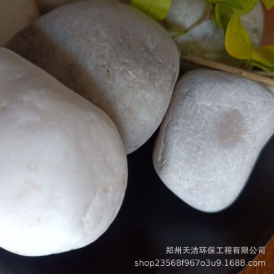 花卉园林铺路鹅卵石厂家 水处理承托层滤料规格齐全造景