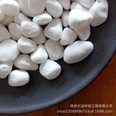 花卉园林铺路鹅卵石厂家 水处理承托层滤料规格齐全造景图3