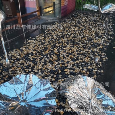 天然鹅卵石 砾石 五彩石 小方石 原石别墅花园庭院园林造景铺路石图3