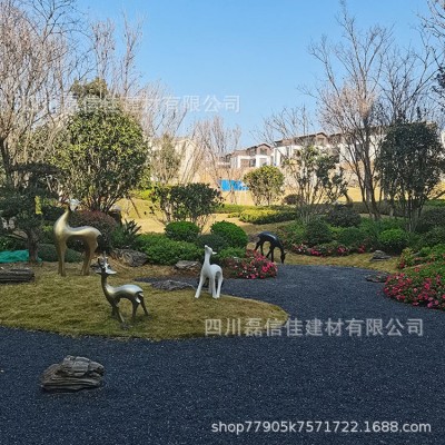 天然鹅卵石 砾石 五彩石 小方石 原石别墅花园庭院园林造景铺路石图2
